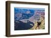 Desert View Point over the Grand Canyonarizona, United States of America, North America-Michael Runkel-Framed Photographic Print