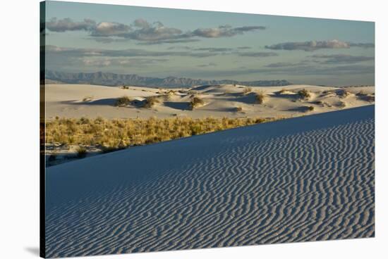 Desert Vista, Cloudy, White Sands Nm, Alamogordo, New Mexico-Michel Hersen-Stretched Canvas