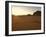 Desert, Wadi Rum, Jordan, Middle East-Sergio Pitamitz-Framed Photographic Print