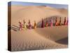 Desert Walk-Art Wolfe-Stretched Canvas