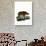 Desert Warthog-null-Giclee Print displayed on a wall