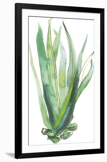 Desert Wild III-Sandra Jacobs-Framed Giclee Print