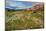 Desert Wildflowers in Henderson Canyon-John Gavrilis-Mounted Photographic Print