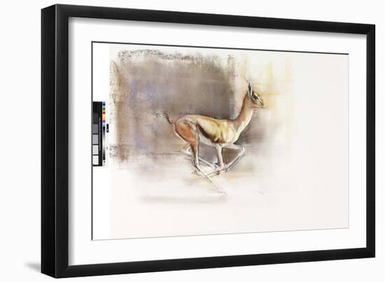 Desert Wind (Arabian Gazelle), 2010-Mark Adlington-Framed Giclee Print