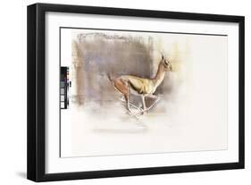 Desert Wind (Arabian Gazelle), 2010-Mark Adlington-Framed Giclee Print