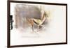 Desert Wind (Arabian Gazelle), 2010-Mark Adlington-Framed Giclee Print