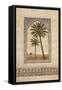 Desert Wind II-Eduardo Moreau-Framed Stretched Canvas