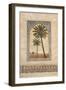 Desert Wind II-Eduardo Moreau-Framed Art Print