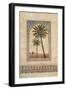 Desert Wind II-Eduardo Moreau-Framed Art Print