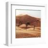 Desert Wind-null-Framed Premium Giclee Print
