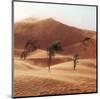 Desert Wind-null-Mounted Art Print