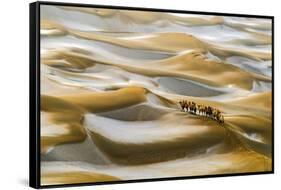 Desert Winter-Hua Zhu-Framed Stretched Canvas