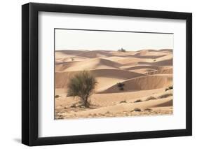 Desert with sand. Abu Dhabi, United Arab Emirates.-Tom Norring-Framed Photographic Print