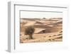 Desert with sand. Abu Dhabi, United Arab Emirates.-Tom Norring-Framed Photographic Print