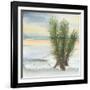 Desert Yucca Cool-Chris Paschke-Framed Art Print