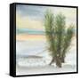 Desert Yucca Cool-Chris Paschke-Framed Stretched Canvas