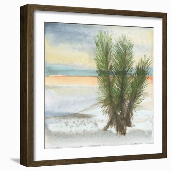 Desert Yucca Cool-Chris Paschke-Framed Art Print