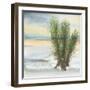 Desert Yucca Cool-Chris Paschke-Framed Art Print