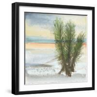 Desert Yucca Cool-Chris Paschke-Framed Art Print