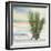 Desert Yucca Cool-Chris Paschke-Framed Art Print