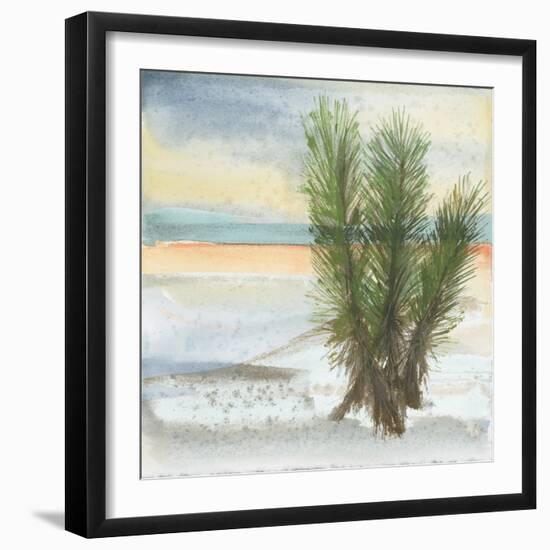 Desert Yucca Cool-Chris Paschke-Framed Art Print