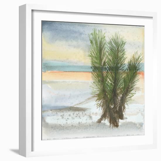 Desert Yucca Cool-Chris Paschke-Framed Art Print