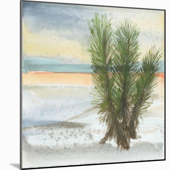 Desert Yucca Cool-Chris Paschke-Mounted Art Print