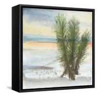 Desert Yucca Cool-Chris Paschke-Framed Stretched Canvas