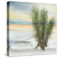 Desert Yucca Cool-Chris Paschke-Stretched Canvas