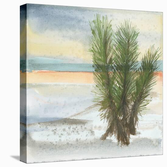 Desert Yucca Cool-Chris Paschke-Stretched Canvas