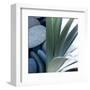 Desert Zen I-Sidney Aver-Framed Art Print