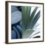 Desert Zen I-Sidney Aver-Framed Art Print