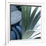 Desert Zen I-Sidney Aver-Framed Art Print