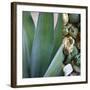 Desert Zen III-Sidney Aver-Framed Art Print