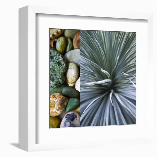 Desert Zen IV-Sidney Aver-Framed Art Print