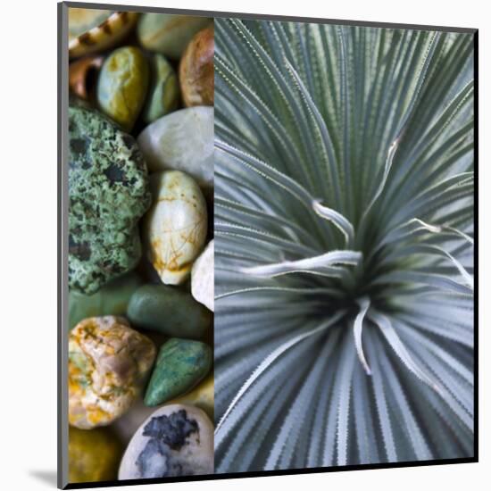 Desert Zen IV-Sidney Aver-Mounted Art Print