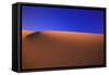 Desert-null-Framed Stretched Canvas