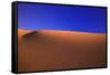 Desert-null-Framed Stretched Canvas