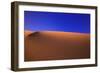 Desert-null-Framed Premium Photographic Print