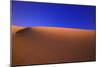 Desert-null-Mounted Premium Photographic Print