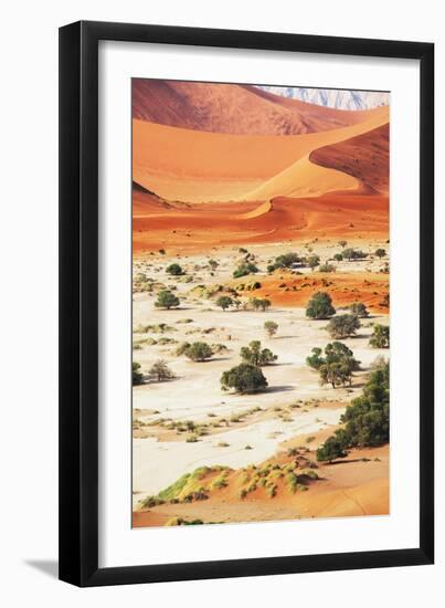 Desert-Andrushko Galyna-Framed Photographic Print