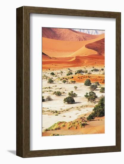 Desert-Andrushko Galyna-Framed Photographic Print