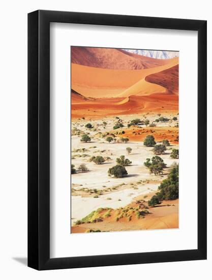 Desert-Andrushko Galyna-Framed Photographic Print