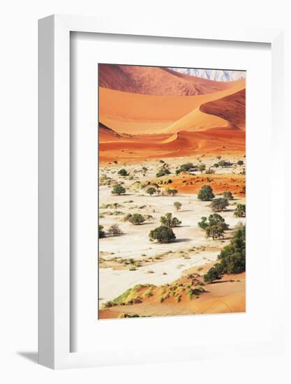 Desert-Andrushko Galyna-Framed Photographic Print