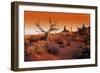 Desert-null-Framed Photographic Print