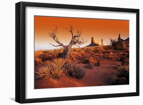 Desert-null-Framed Photographic Print