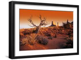 Desert-null-Framed Photographic Print