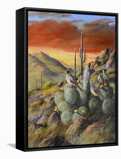 Desert-Trevor V. Swanson-Framed Stretched Canvas