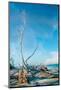 Deserted Beach 2-Mary Lou Johnson-Mounted Photo