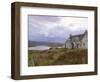 Deserted Croft, Isle of Lewis, Outer Hebrides, Scotland, United Kingdom-Lee Frost-Framed Photographic Print